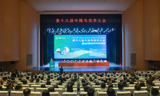 “智慧之眼”守護天空精靈！優威視訊攜AI黑科技驚艷鳥類學大會